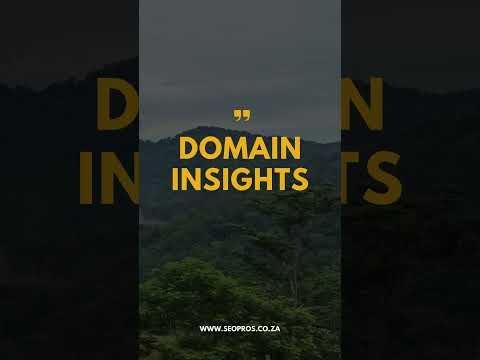 Unlocking Domain Insights: Leveraging Data for Online Success